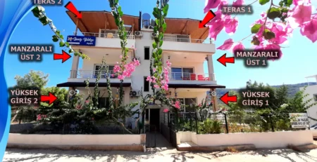 tisan adası